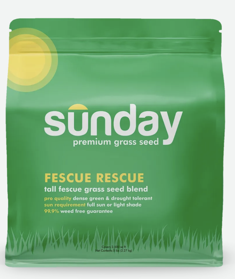 Fescue Rescue Grass Seed